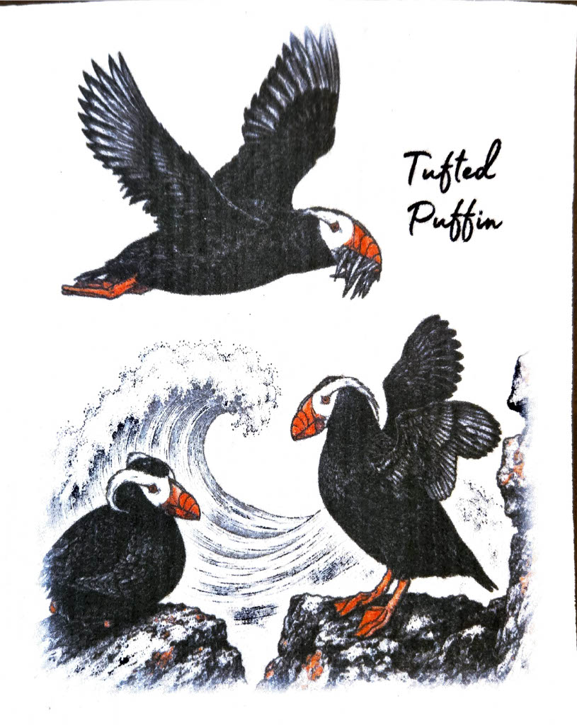Three tufted puffins: one flying, two perched on rocks with a curling wave behind; caption reads 'Tufted Puffin'.