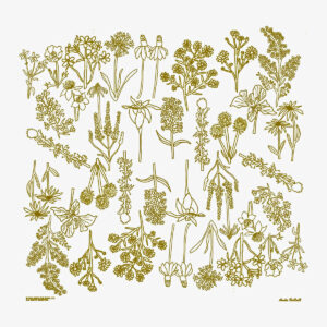 Mo' Wildflowers Bandana