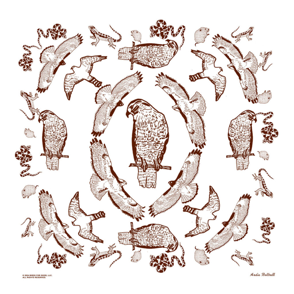 Red-Tailed Hawk Bandana