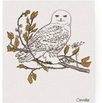 Illustration of a white owl perched on a branch with brown autumn leaves.