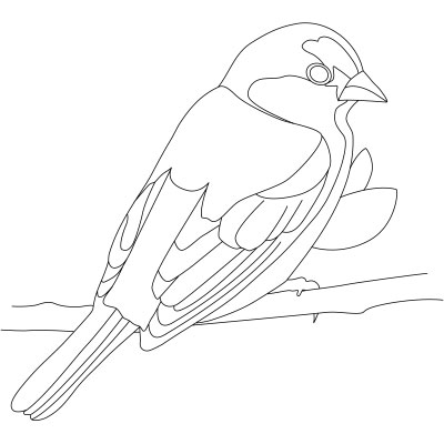 The Painted Bunting