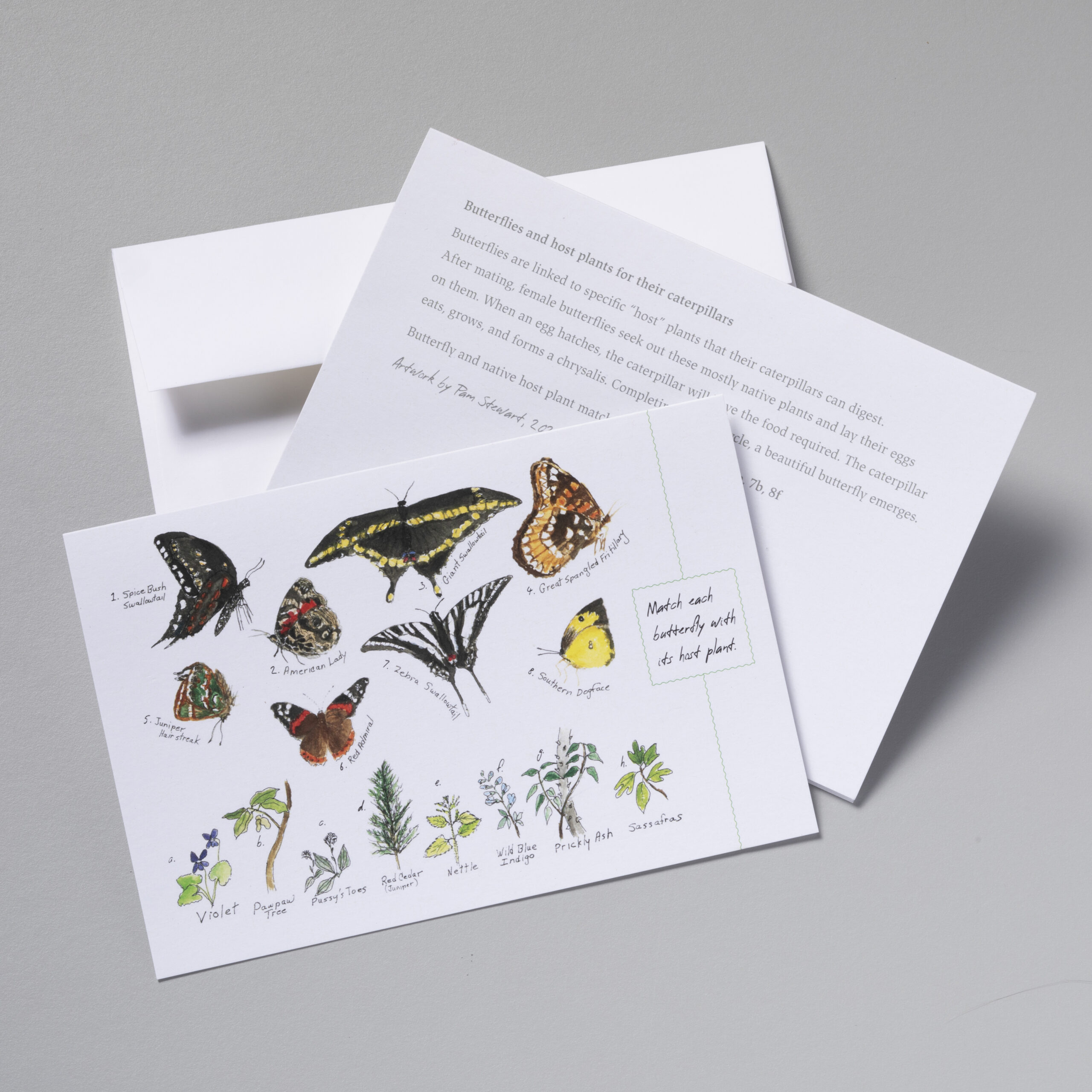 Card Featuring Butterflies and Their Host Plants