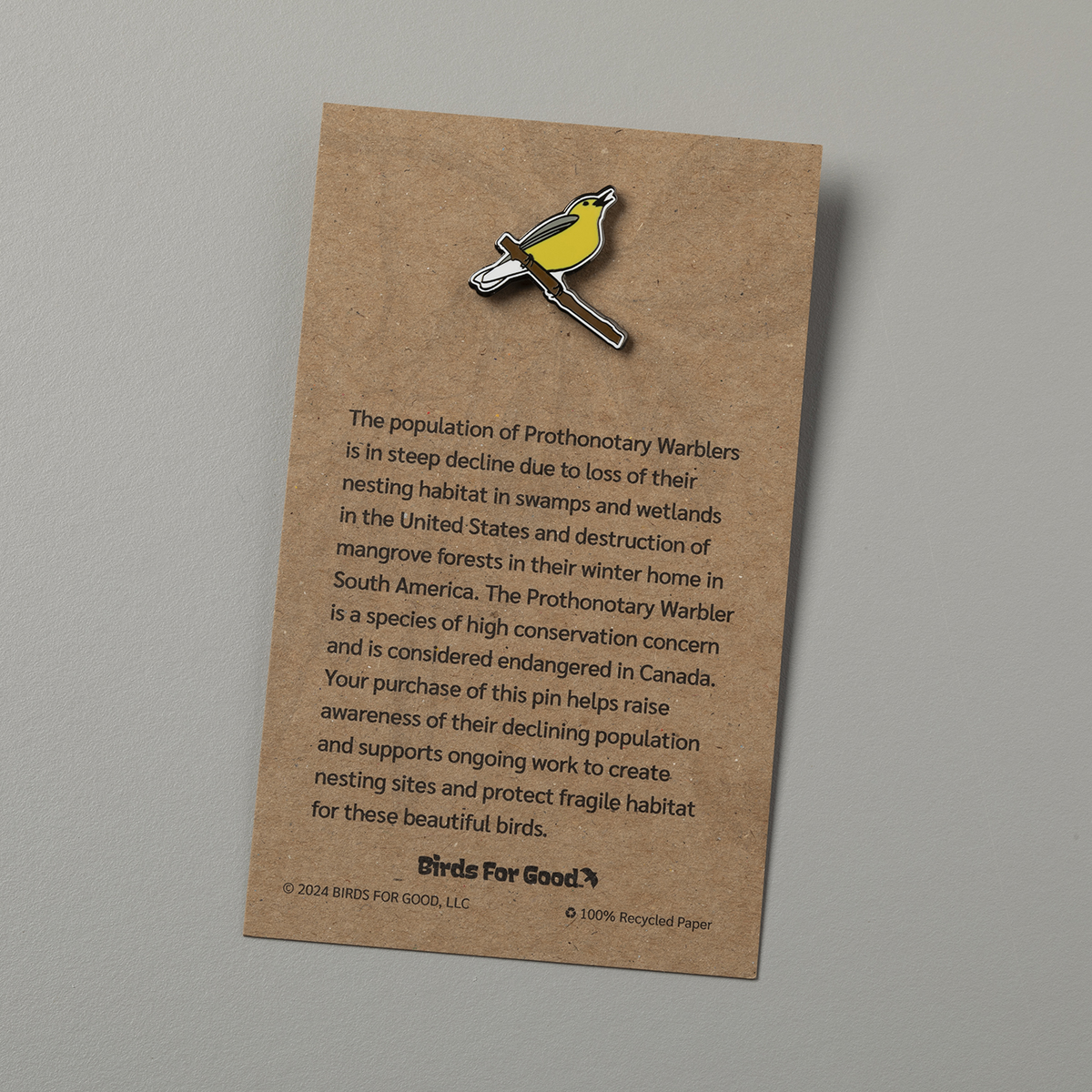 Prothonotary Warbler Enameled Pin - Image 3