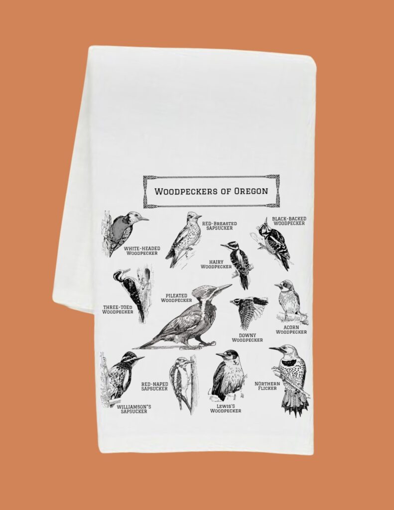 Vintage illustration page from a natural history book titled Woodpeckers of Oregon showing labeled woodpecker species in black-and-white engravings.